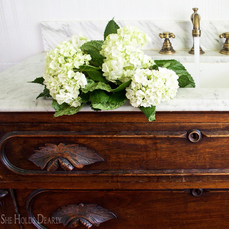 How to Keep Hydrangeas From Wilting She Holds Dearly