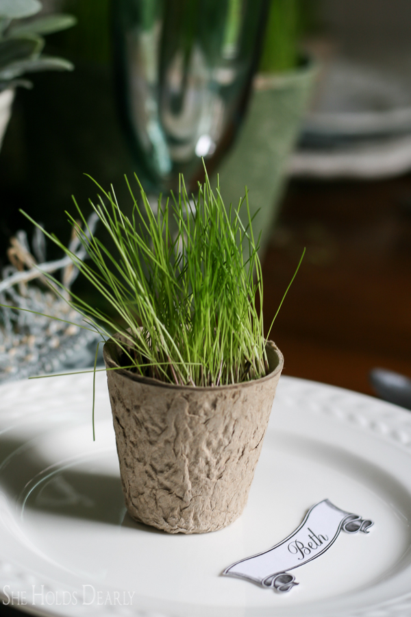 Dinner Party Decor Plan, Table Settings and Centerpieces