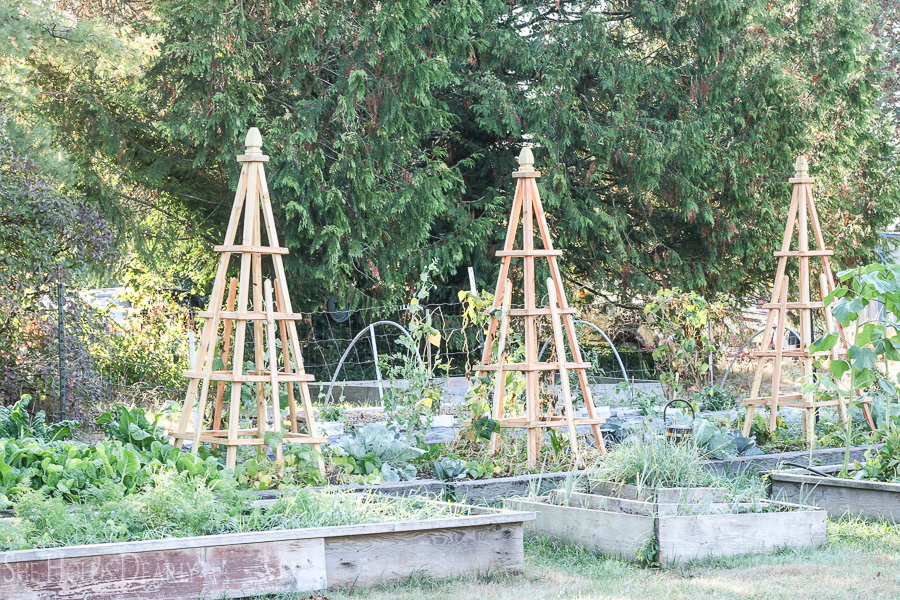 Tutorial, Woodworking, Gardening Project, Pyramid, Obelisk, Trellis