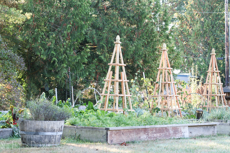 Tutorial, Woodworking, Gardening Project, Pyramid, Obelisk, Trellis