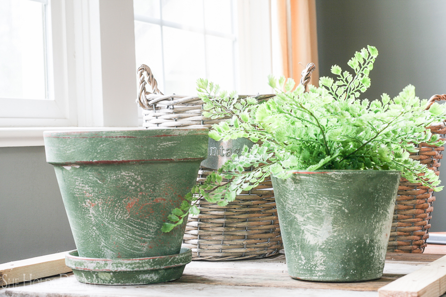 With a quick 5 step process you can give terra cotta pots that vintage, time worn patina!