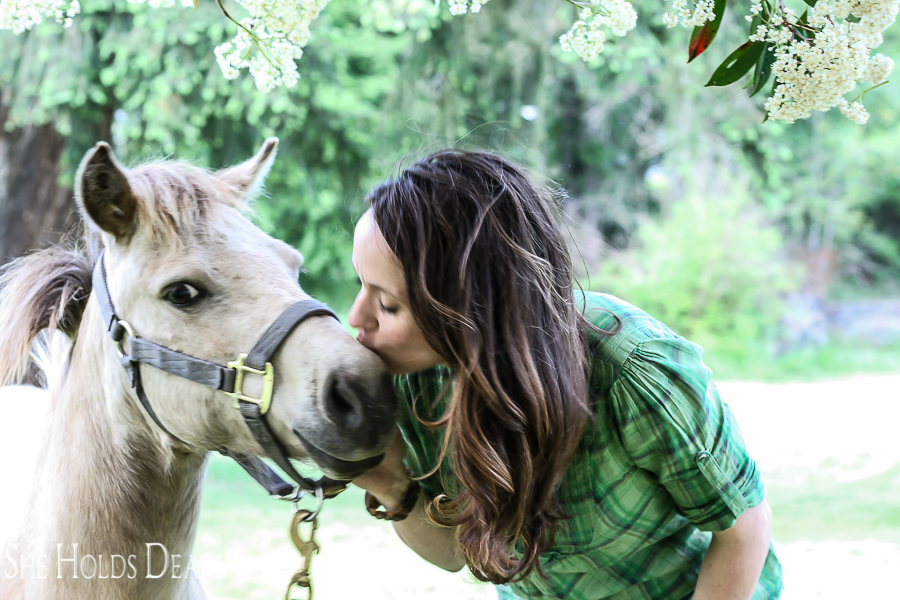 gray halter, farm scene, plaid blouse, dapple gray pony, kissing nose