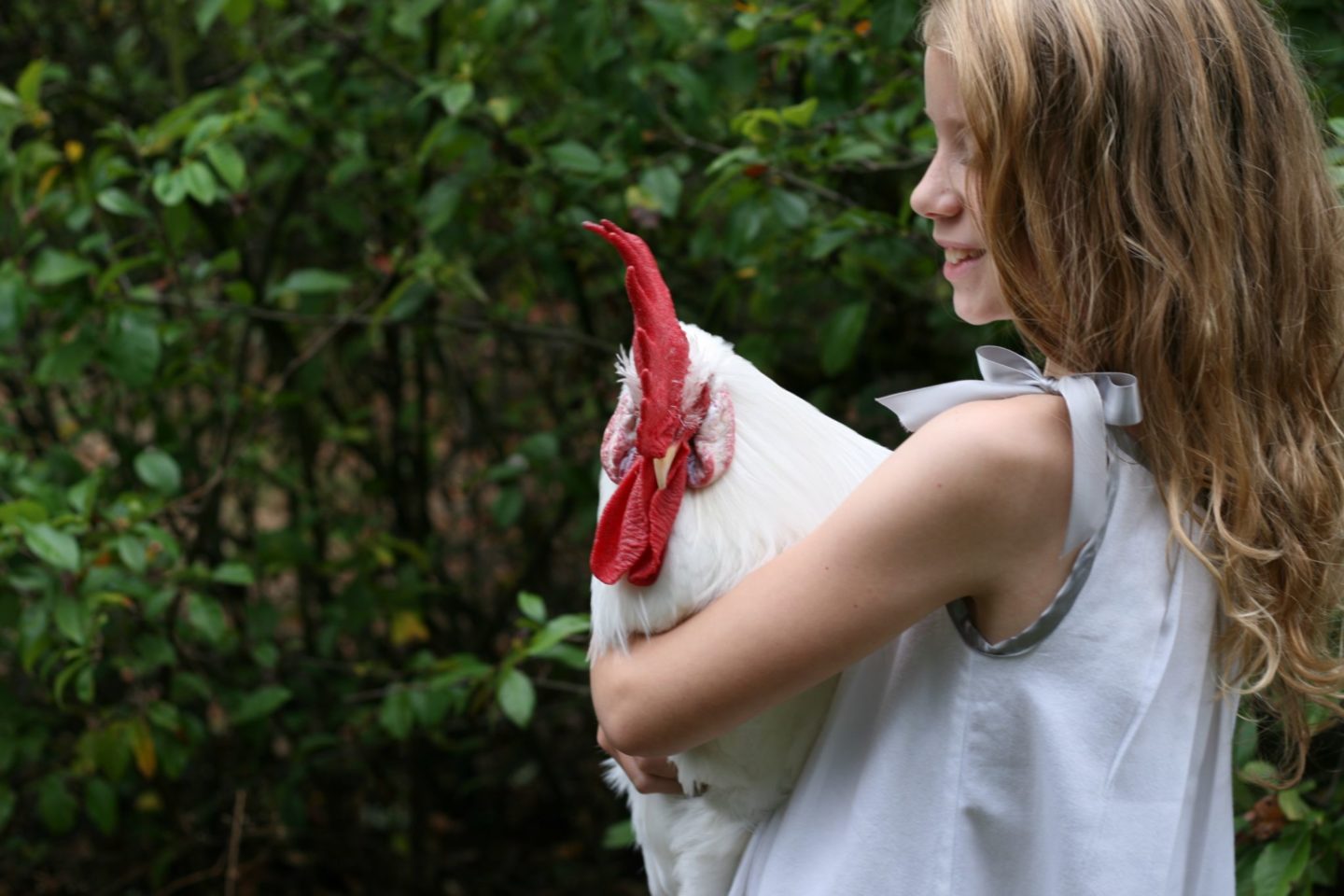 Leghorn rooster with farmgirl in pillowcase dress