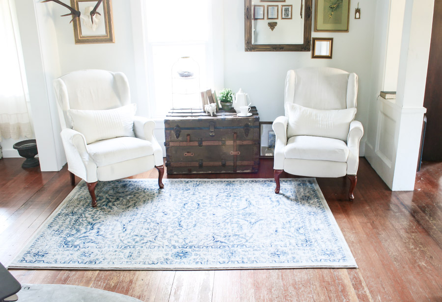 Step by step tutorial on effective DIY rug cleaning process!