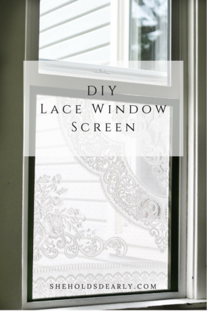 DIY Lace Window Screen - She Holds Dearly