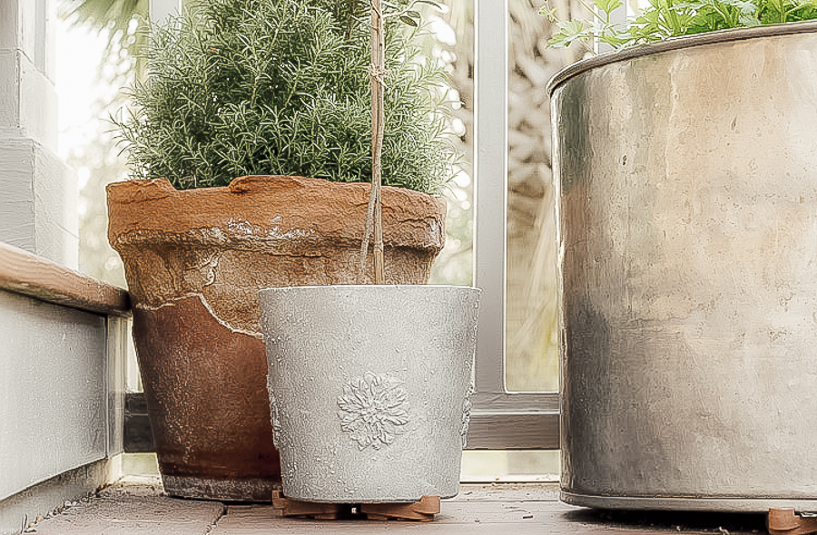 Faux Concrete Planter with Other Pots by sheholdsdearly.com