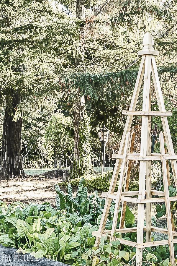 How to Building Garden Pyramids by sheholdsdearly.com