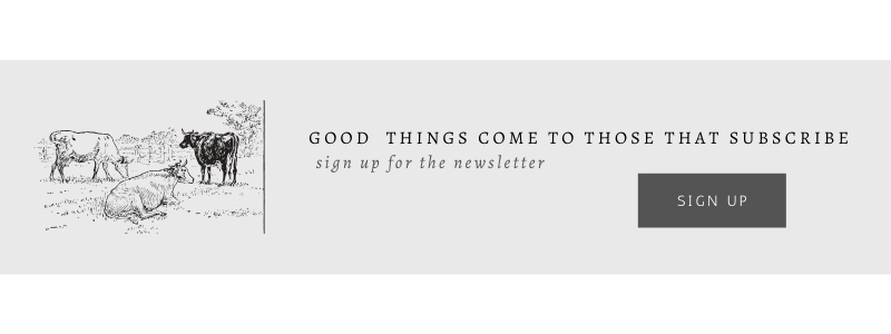 She Holds Dearly Design Blog 