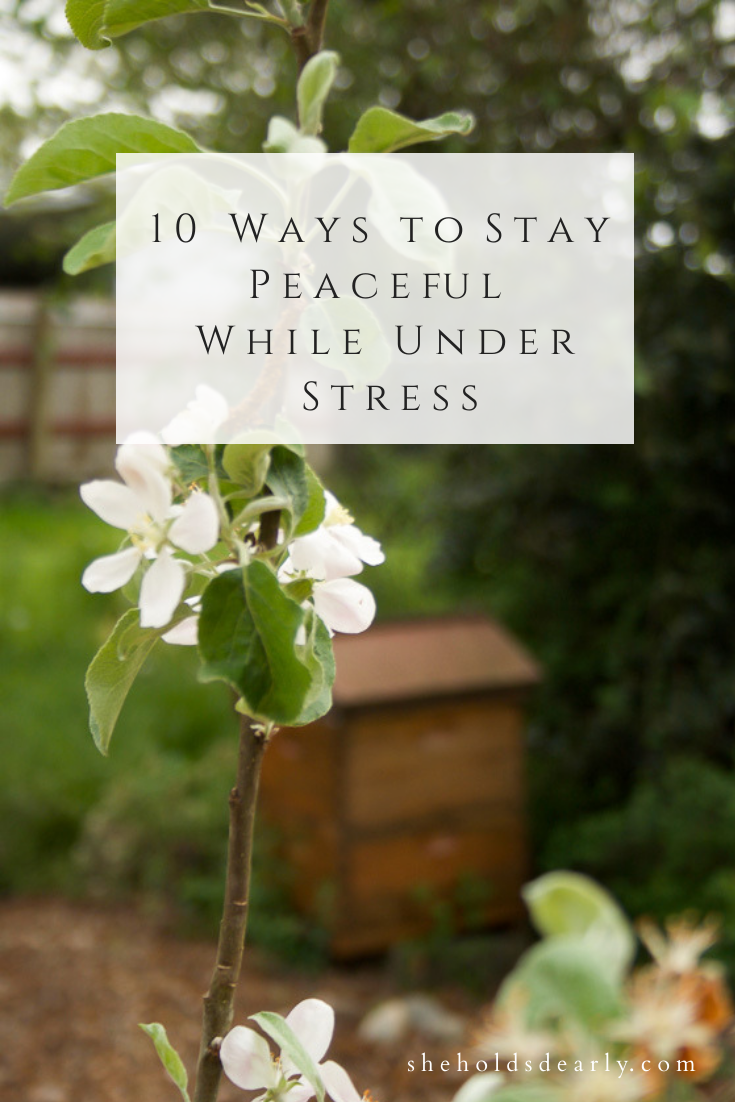 Ways to Stay Peaceful Under Stress by sheholdsdearly.com