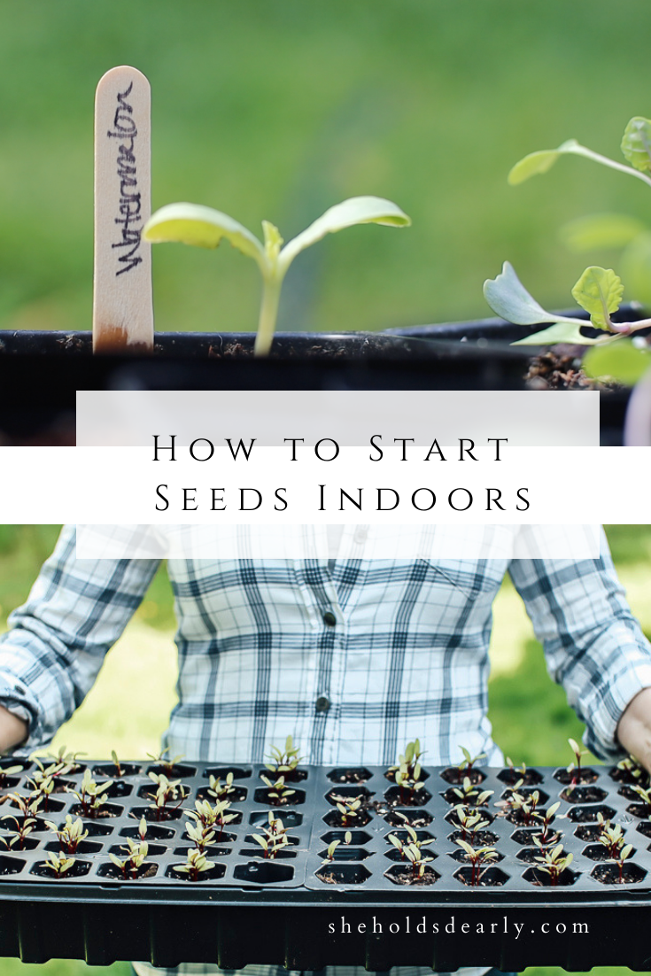 Starting Seeds Indoors by sheholdsdearly.com