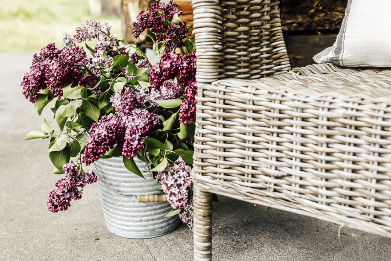 Fresh Cut Lilac Bouquet Tutorial - She Holds Dearly