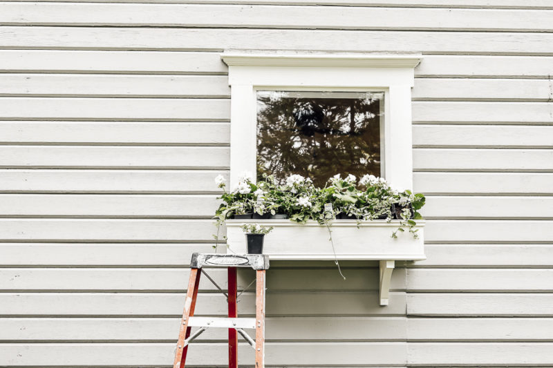 DIY Self Watering Window Box She Holds Dearly