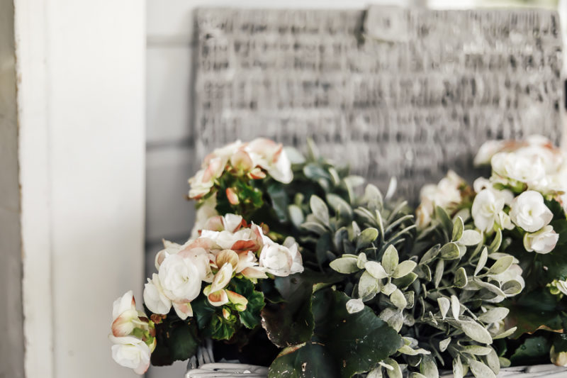 Upcycled Picnic Basket Concrete Planter She Holds Dearly