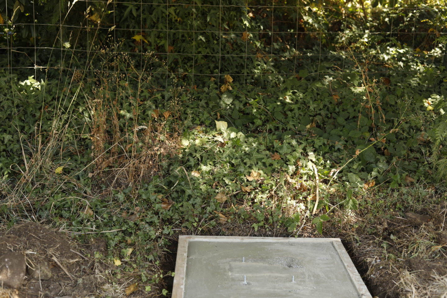Upcycled Sink for Garden by sheholdsdearly.com