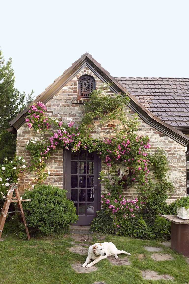 All About The New Cottagecore Design Style She Holds Dearly all-about-the-new-cottagecore-design-style-she-holds-dearly