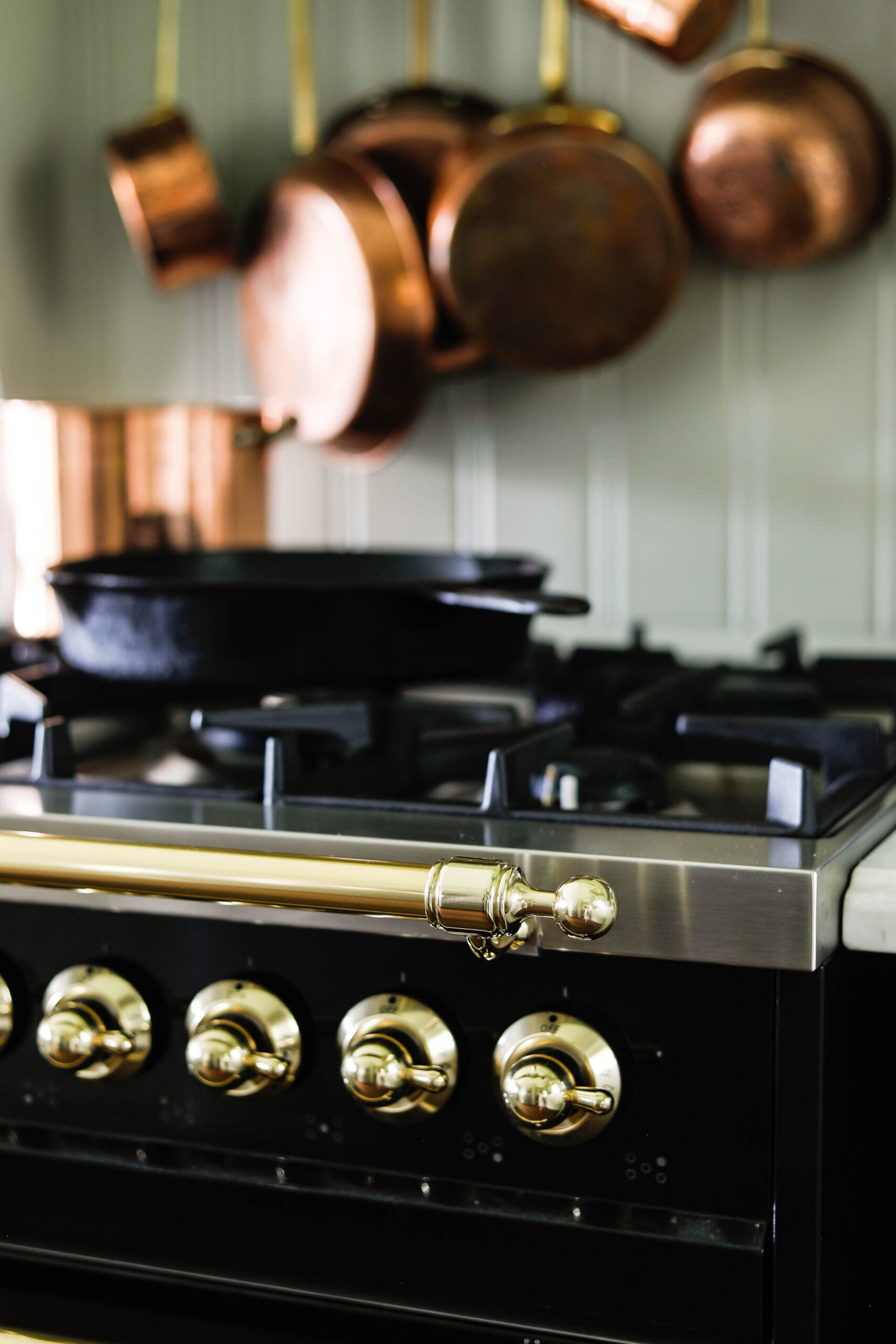 We upgraded to an Ilve stove in our remodeled kitchen, and I am SO pleased with the results. Classic & timeless charm mixed with function.